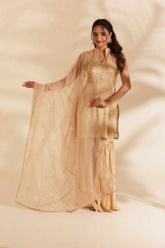 NOOR EMBROIDERED SILK SHARARA SET