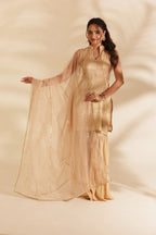 NOOR EMBROIDERED SILK SHARARA SET