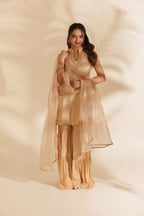 NOOR EMBROIDERED SILK SHARARA SET